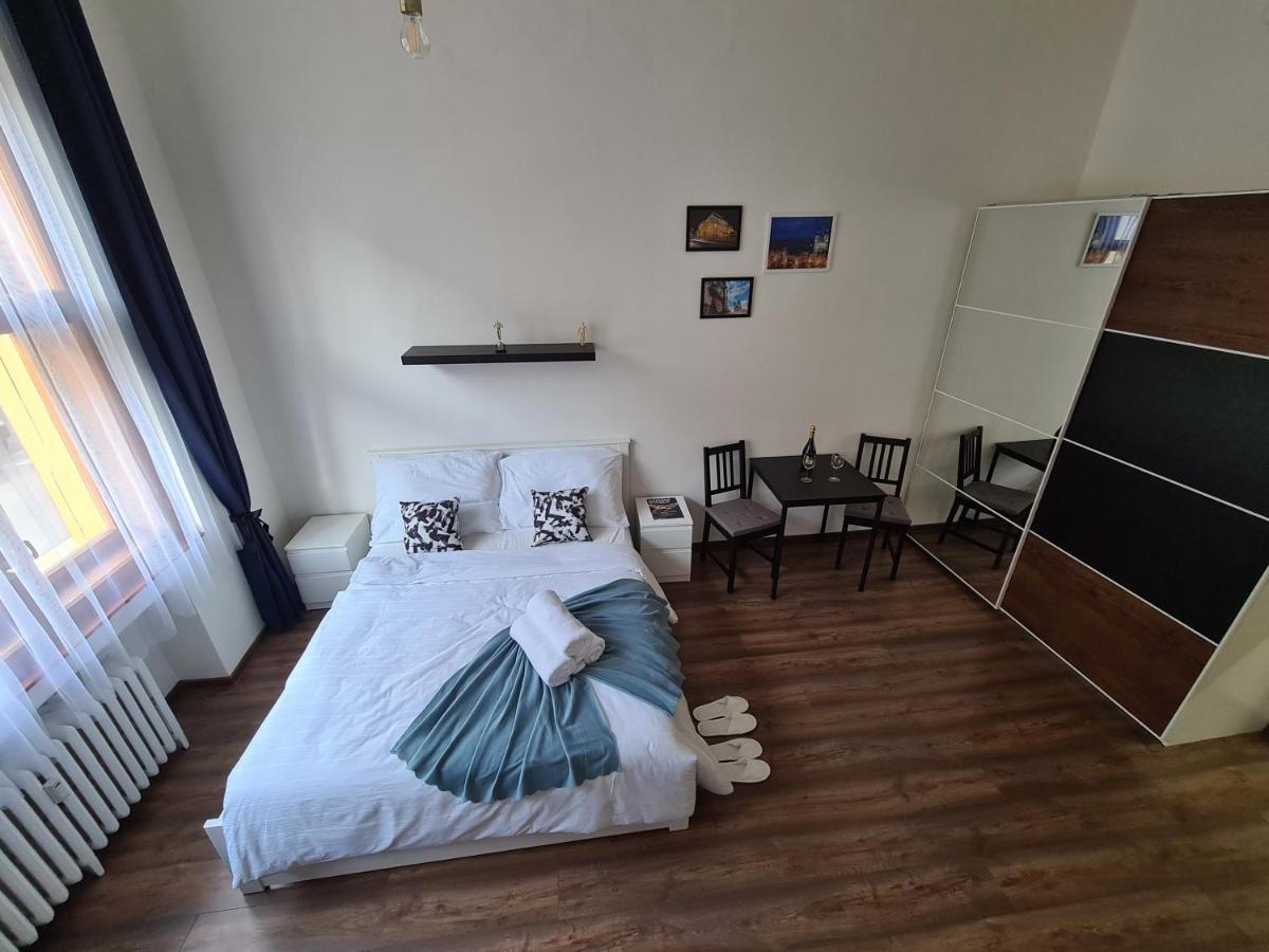 Svetly Prostorny Byt V Karline Apartment Prague Exterior photo
