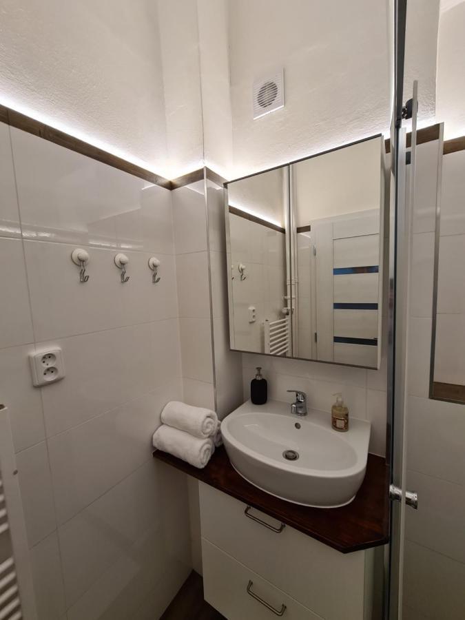 Svetly Prostorny Byt V Karline Apartment Prague Exterior photo