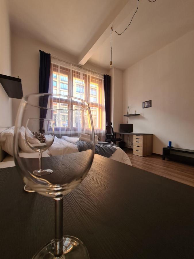 Svetly Prostorny Byt V Karline Apartment Prague Exterior photo